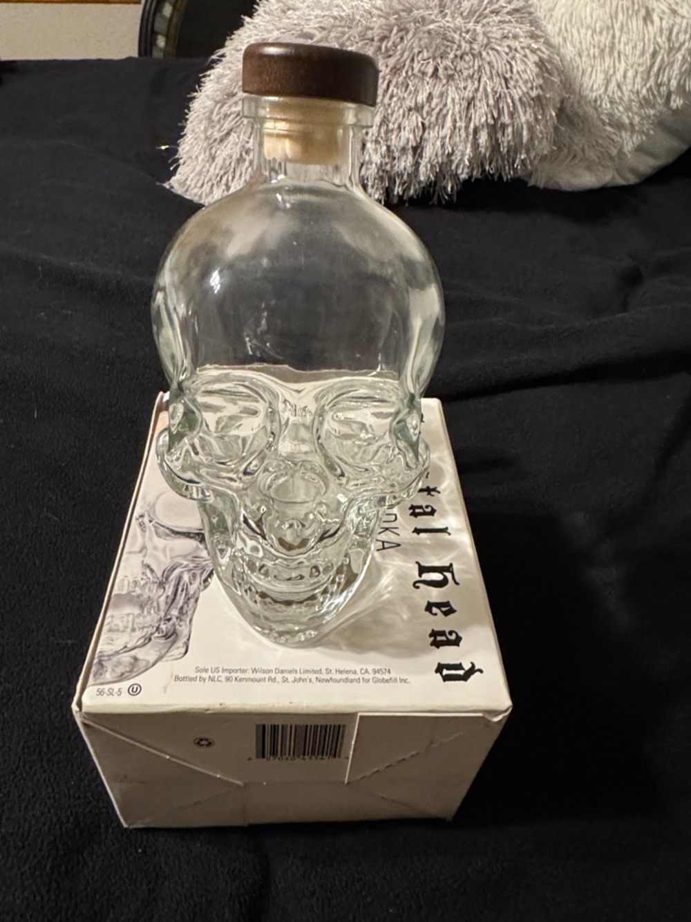 Clear Glass Skull Bottle with Wooden Stopper - Clear